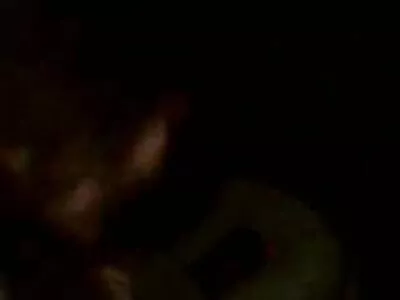 மெல்ல குதிக்கும் சிறிய அழகி