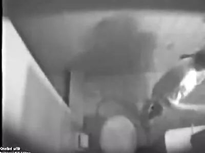 சூடான ஞாயிற்றுக்கிழமை காலை நாய் அமர்வு, என் நண்பர்களை அனுபவிக்கவும்