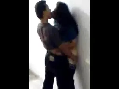 கர்வி மில்ஃப் டிக் உறிஞ்சுகிறது