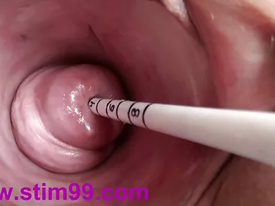 கவர்ச்சியான ஸ்டாக்கிங்ஸ் மற்றும் ஹேரி கன்ட்